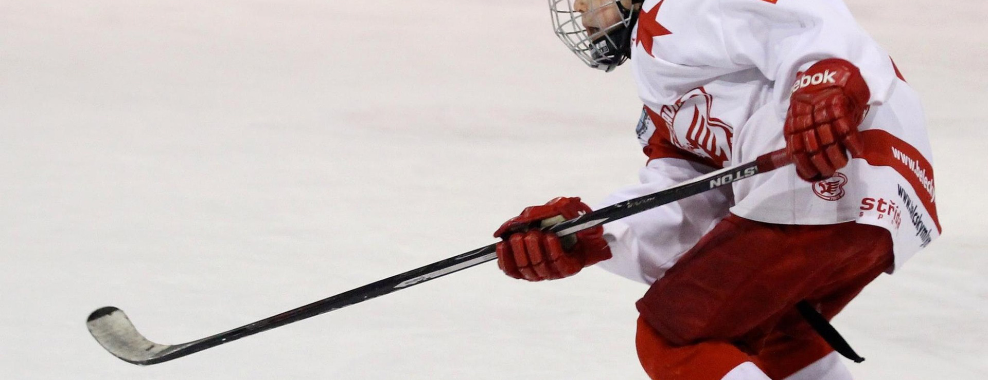 Sportega -Sportega player 2391708 1920